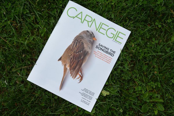 Cover of carnegie magazine featuring a dead bird