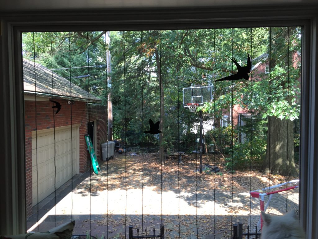 Acopian Birdsavers (inside view) window with thin black vertical cords handing down