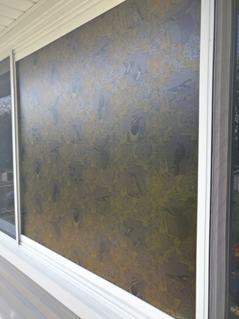 Colored version of Ashley Cecil’s window film (outside view) same window viewed from the outside