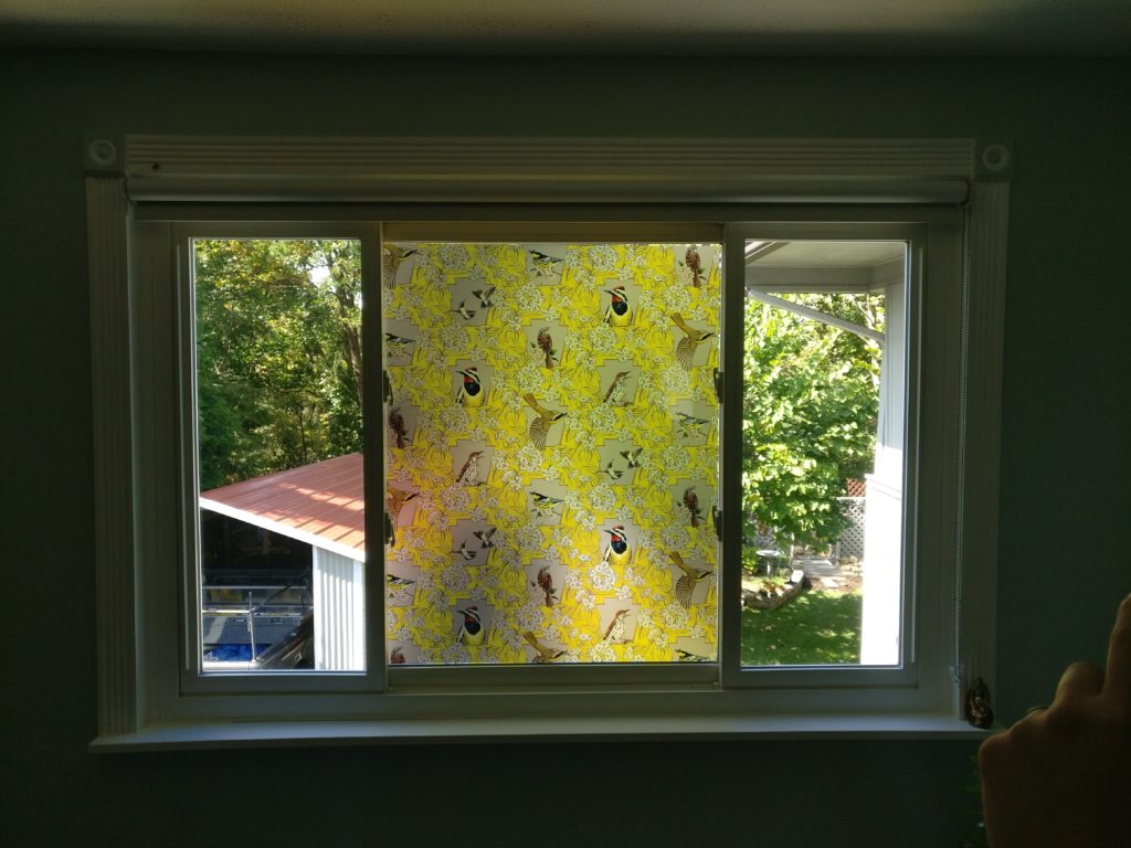 Colored version of Ashely Cecil’s window film (inside view) yellow pattern placed in a window